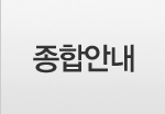종합안내